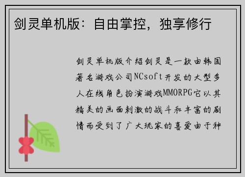 剑灵单机版：自由掌控，独享修行